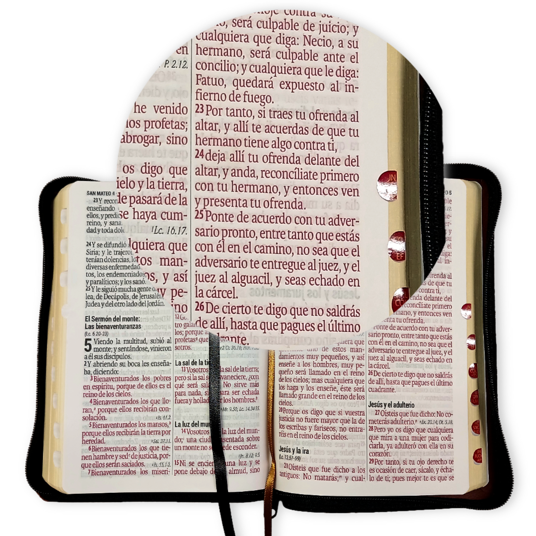 Biblia RVR1960 negro/marrón León, cierre, Letra grande 14 puntos, concordancia, PJR, índice, 22x15 cm