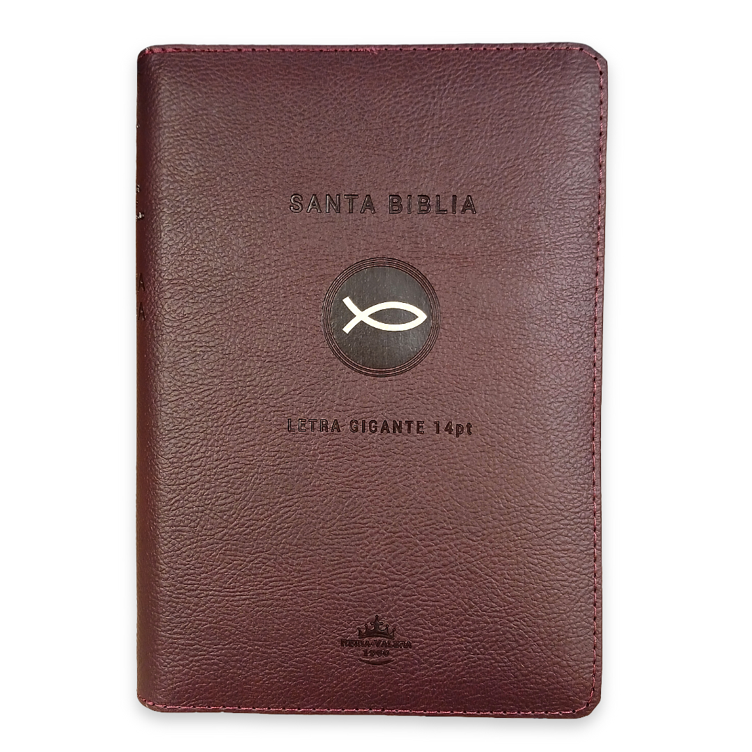 Biblia RVR 1960 vino, Letra 14 pts, concordancia, PJR, Índice, 22x15 cm