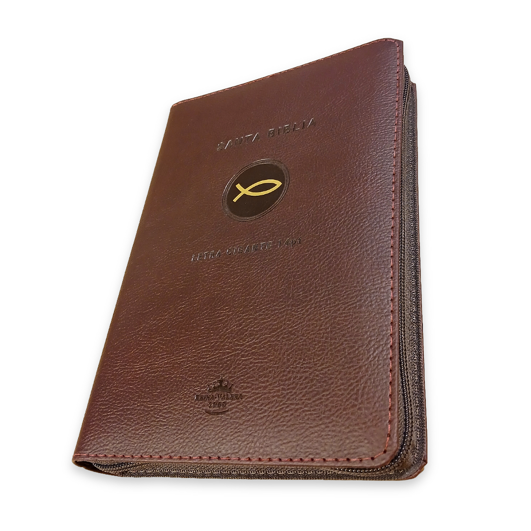 Biblia RVR 1960 vino, Letra 14 pts, concordancia, PJR, Índice, 22x15 cm