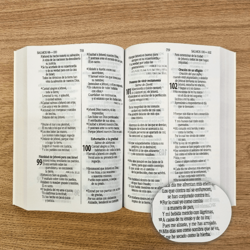 Biblia Reina Valera 1960 – Tapa Vinilo Vino Canto Blanco, Concordancia, Palabras de Jesús en Rojo, 14 x 20 cm, Letra 12 Puntos