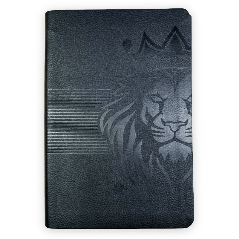 Biblia Reina Valera 1960 – Tapa Vinilo Aston Negra, Concordancia, Palabras de Jesús en Rojo, con Índice, 14 x 21 cm, Letra 12 Puntos