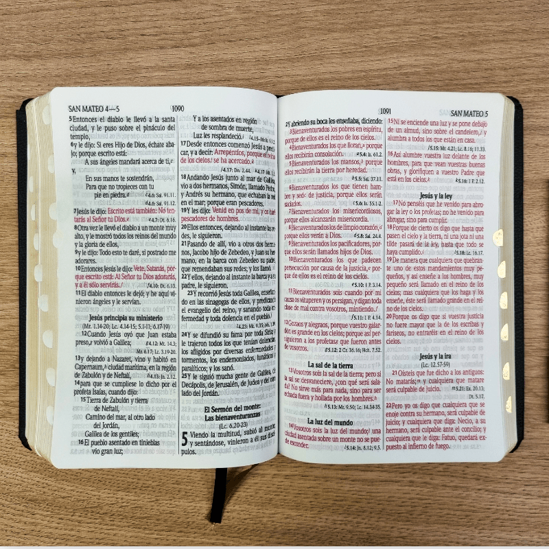 Biblia Reina Valera 1960 – Tapa Vinilo Aston Negra, Concordancia, Palabras de Jesús en Rojo, con Índice, 14 x 21 cm, Letra 12 Puntos