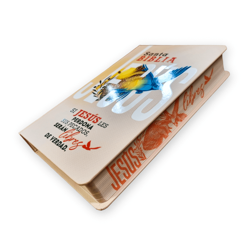 Biblia Joven Traducción Lenguaje Actual – Tapa Dura Multicolores, Concordancia, Ilustrada, 14 x 21 cm, Letra 12 Puntos