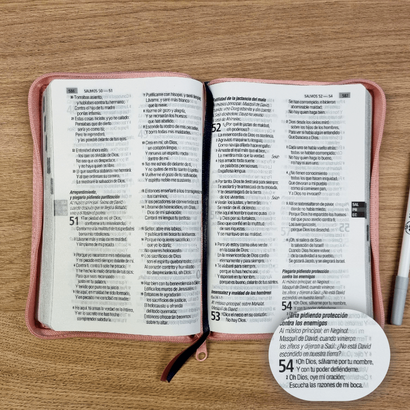 Biblia Reina Valera 1960 – Tapa Imitación Piel Azul y Rosa, con Cierre, Concordancia, Palabras de Jesús en Rojo, con Índice, 15 x 21 cm, Letra 12 Puntos