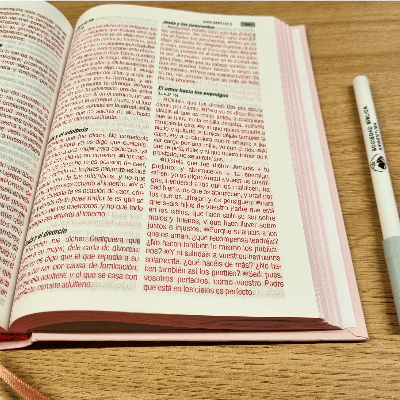 Biblia Reina Valera 1960 – Tapa Dura Rosado, Concordancia, 14 x 20 cm, Letra 12 Puntos
