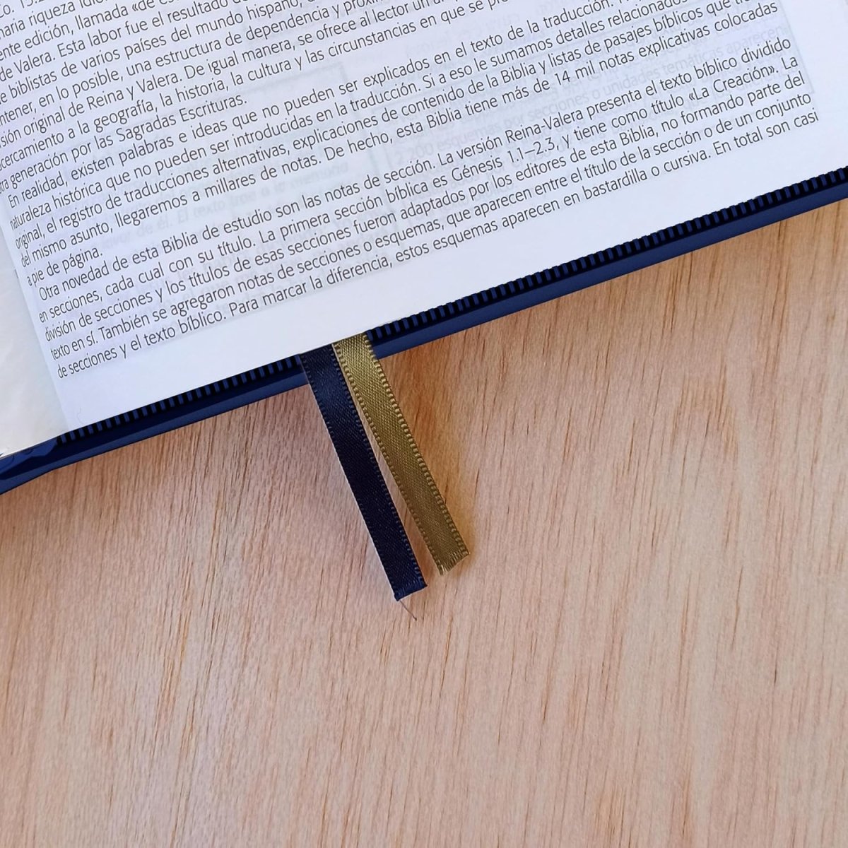 Biblia De Estudio Esquematizada Letra Grande Tapa Blanda