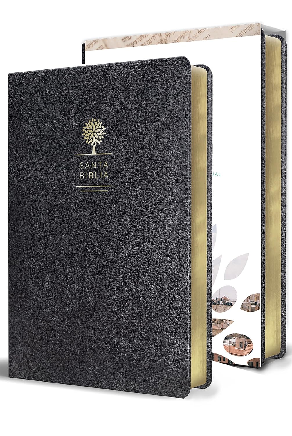 Biblia Reina Valera 1960 Imágenes Tierra Santa – Tapa Imitación Piel Negro, Letra 10pt, 14x21 cm