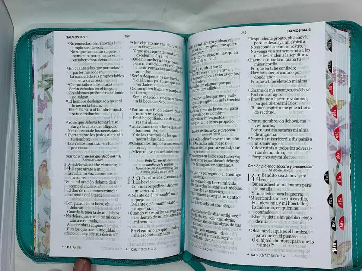 Biblia Reina Valera 1960 – 065 – Con Concordancia – Letra 12 pts – 14x21 cm – Cierre con Índice – Mariposa Turquesa