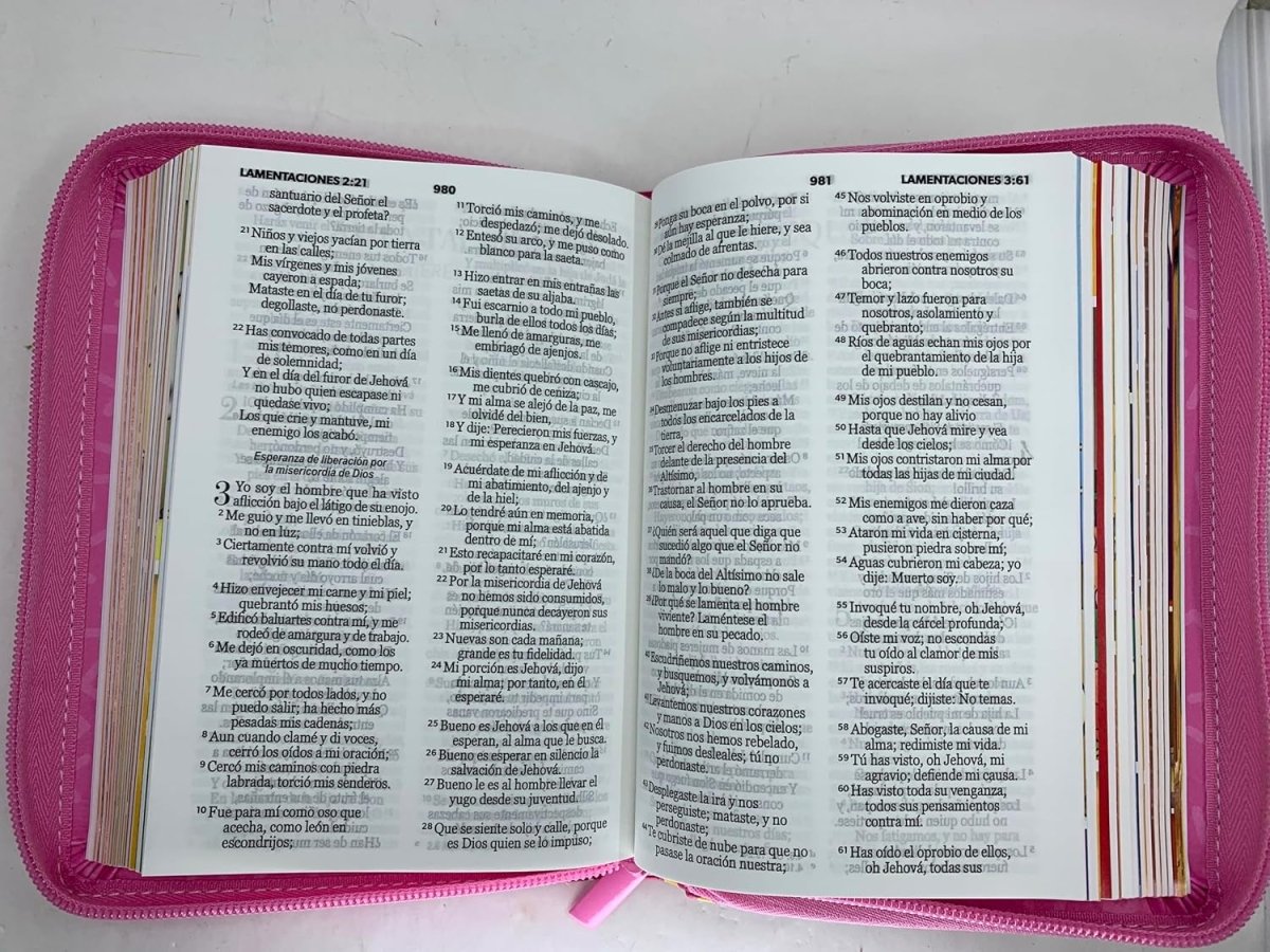 Biblia Mi Gran Viaje 045 RVR60 Imitación piel con cierre Rosa