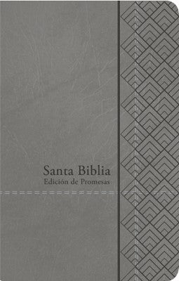 Biblia De Promesas - Tamaño Manual - Edicion Gris - Imitacion Piel