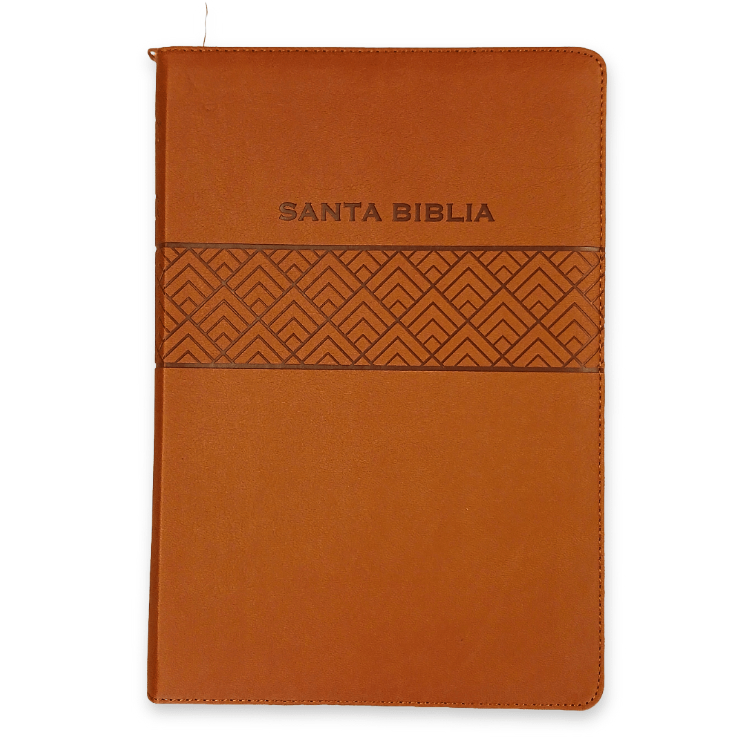 Biblia Reina Valera 1960 de Promesas · Letra gigante · Imitación piel café con cierre
