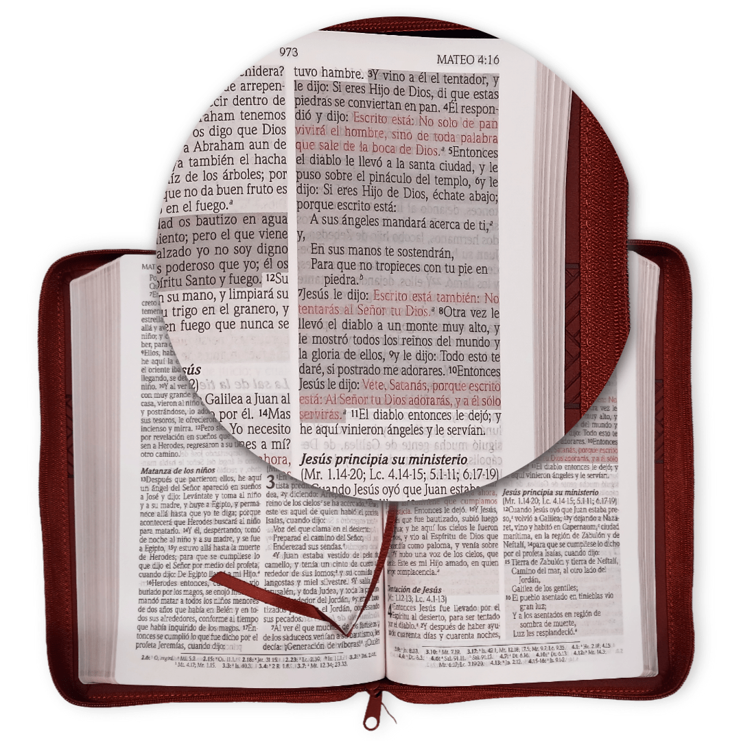Biblia Reina Valera 1960 de Promesas · Letra gigante · Imitación piel café con cierre