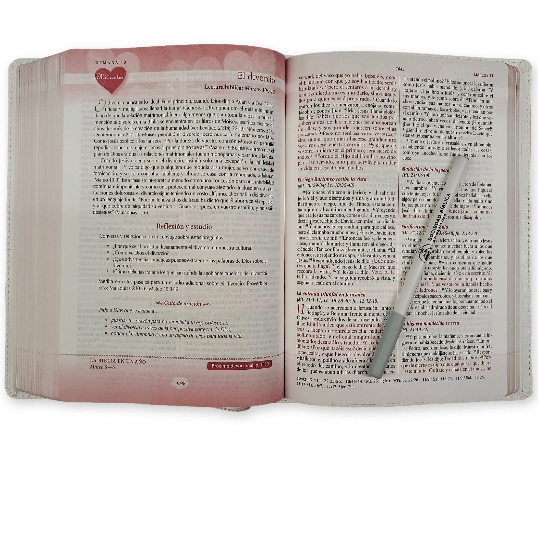 Biblia RVR 1960 Devocional Los lenguajes del amor Oro Rosa