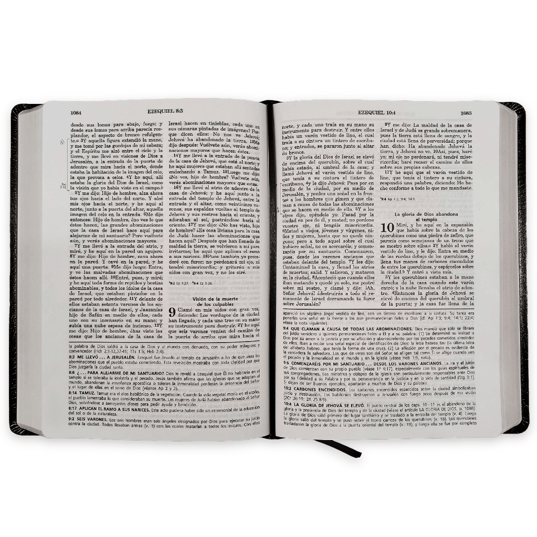 Biblia De Estudio Vida Plena Piel Reina Valera 1960