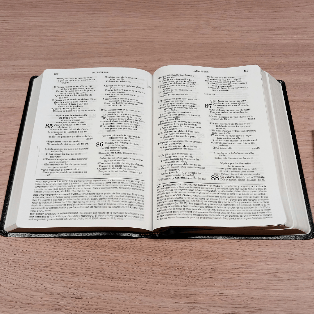 Biblia De Estudio Vida Plena Piel Reina Valera 1960