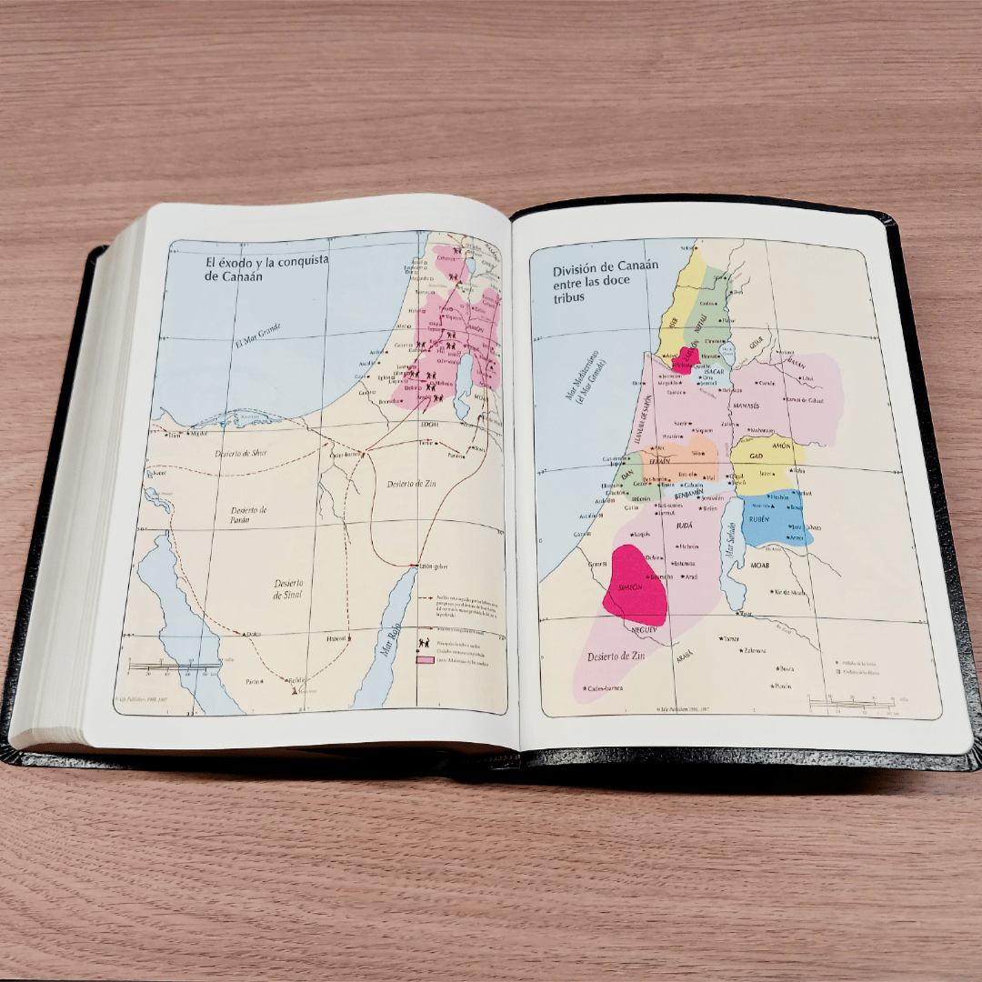 Biblia De Estudio Vida Plena Piel Reina Valera 1960