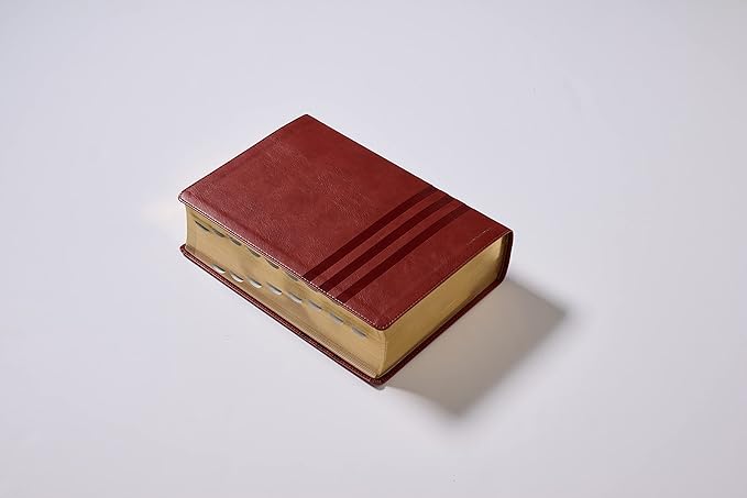 Biblia Nueva Versión Internacional De Estudio Teologia Biblica Tapa Pu Cafe