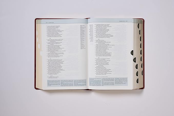 Biblia Nueva Versión Internacional De Estudio Teologia Biblica Tapa Pu Cafe C/Indice