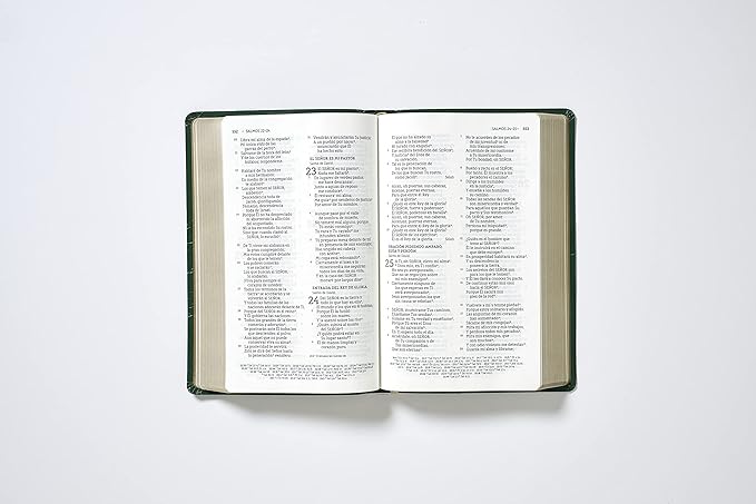 Biblia Nueva Biblia de las Américas Letra Grande 10 Puntos - Historia De Redencion