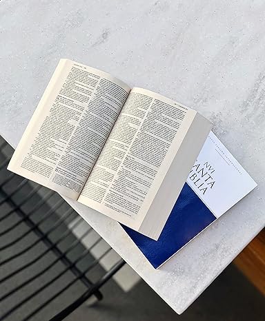 Biblia Nueva Versión Internacional Edición Economica Tapa rústica