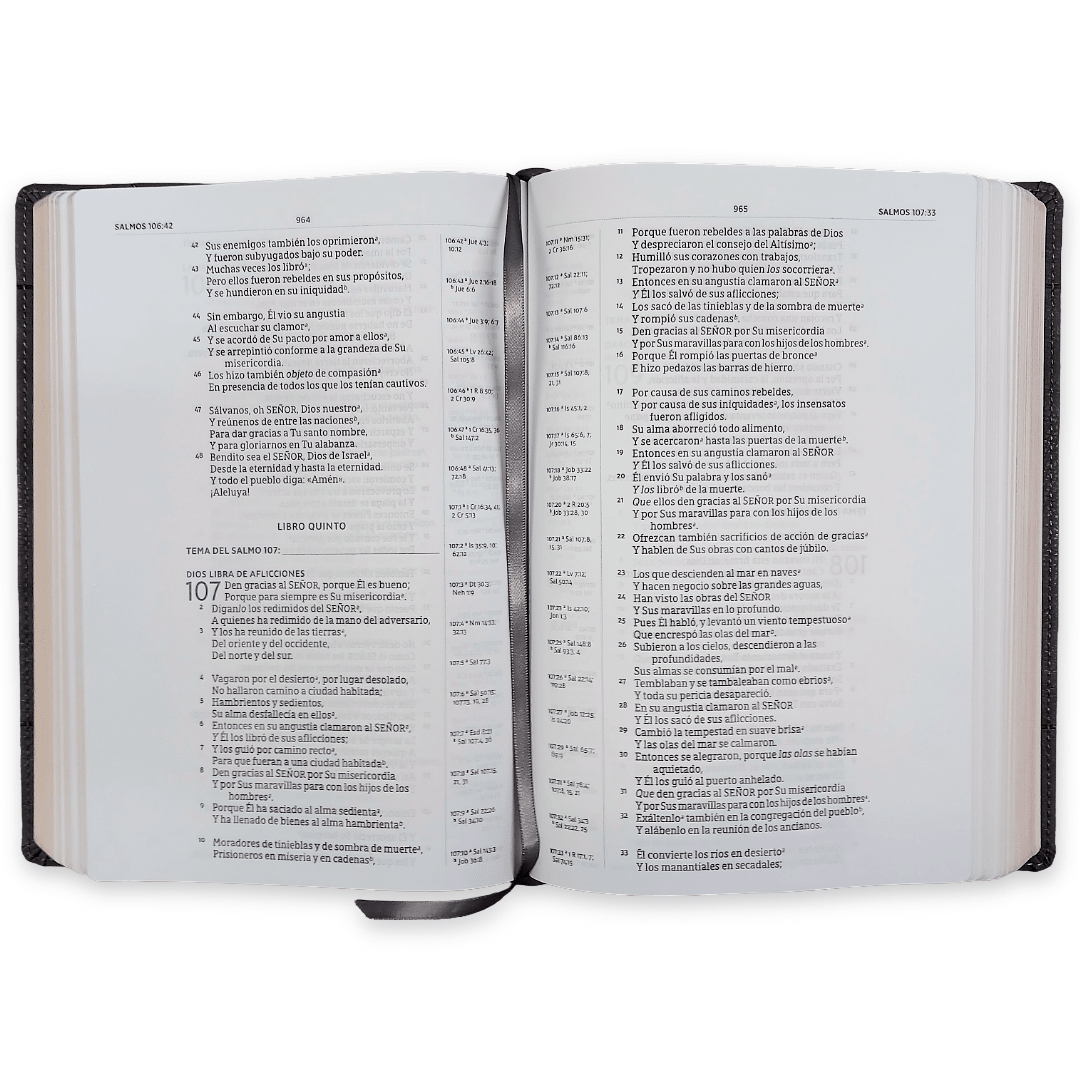 Biblia Nueva Biblia De Las Américas (NBLA) Para El Estudio Inductivo, 18×25, Tapa PU, Comfort Print, Gris