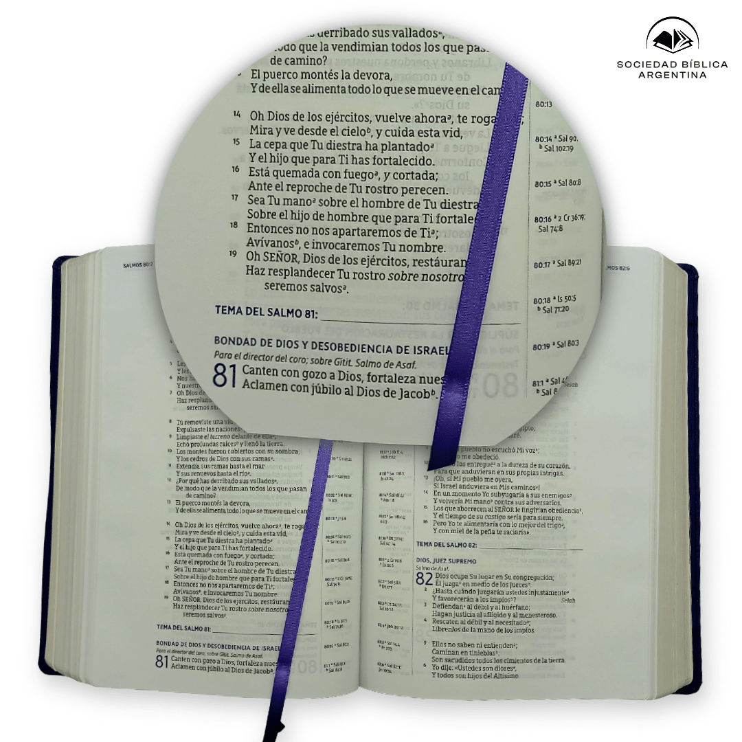 Biblia Nueva Biblia De Las Américas (NBLA) Para El Estudio Inductivo, 18×25, Tapa PU, Comfort Print, Morado