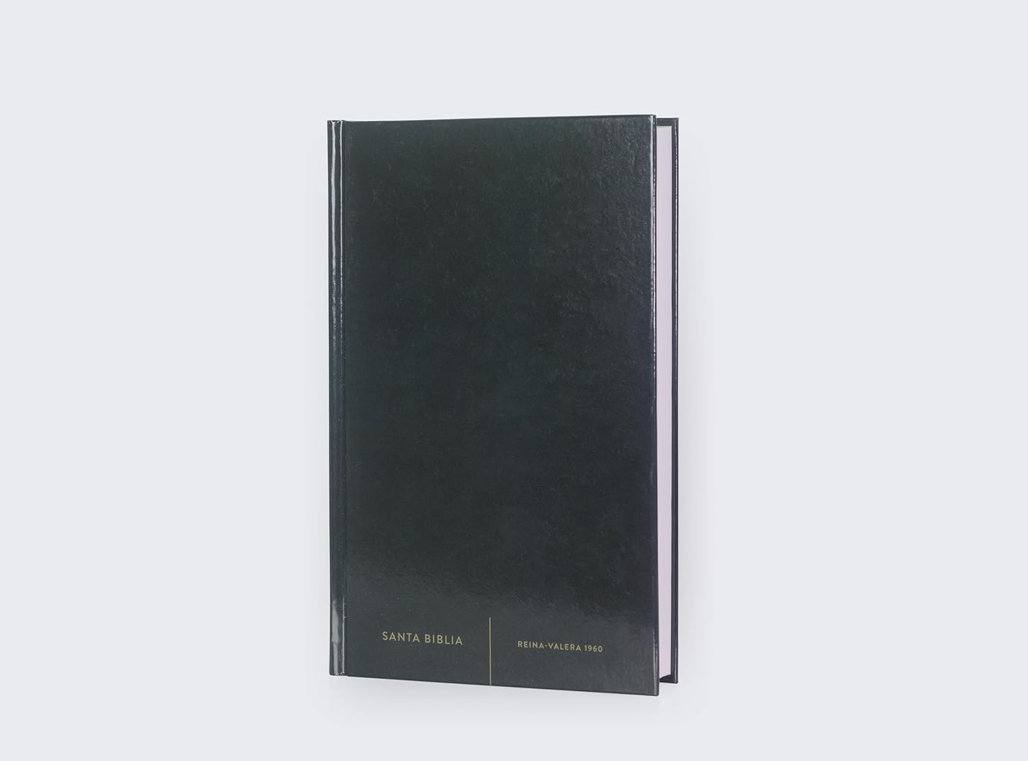 Biblia Reina-Valera 1960, Palabras De Jesús En Rojo, Letra 10 Pt, 14×22, Tapa Dura, Negro