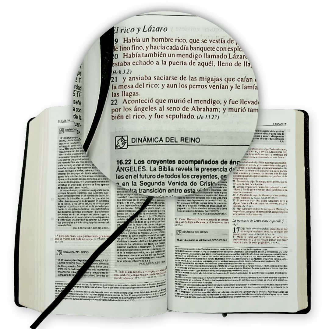 Biblia De Estudio Plenitud Cuero Legítimo Negra