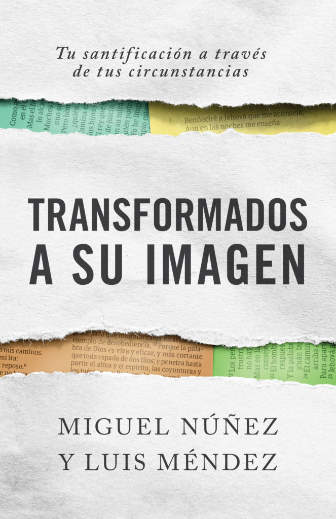 Transformados A Su Imagen Miguel Nuñez, Luis Mendez - B&H - Lifeway