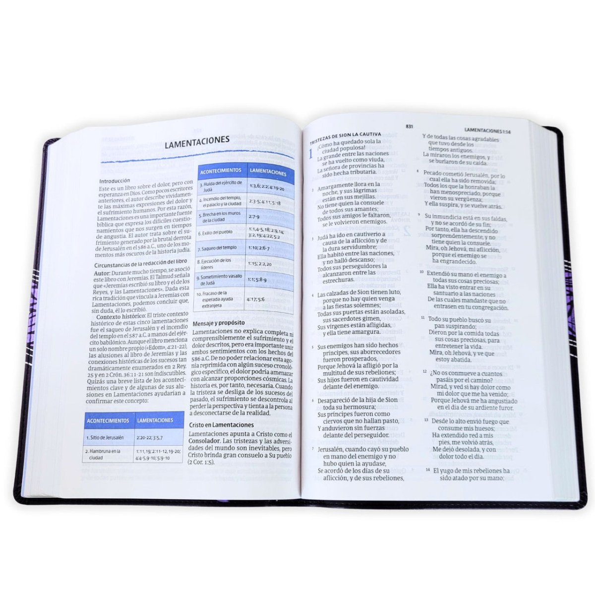Biblia del Pescador Mujer Virtuosa Reina Valera 1960 – L 11p Tapa Imitación Piel Violeta Floral