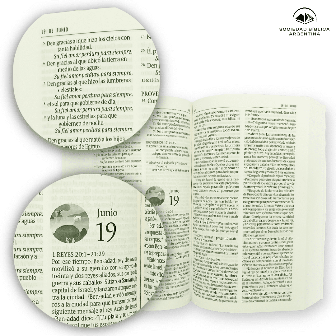 La Biblia en un año Nueva Traducción Viviente