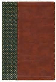 Biblia De Estudio Reina Valera 1960 Scofield Verde Bosque/Cafe Simil Piel Con Indice B&H - Lifeway