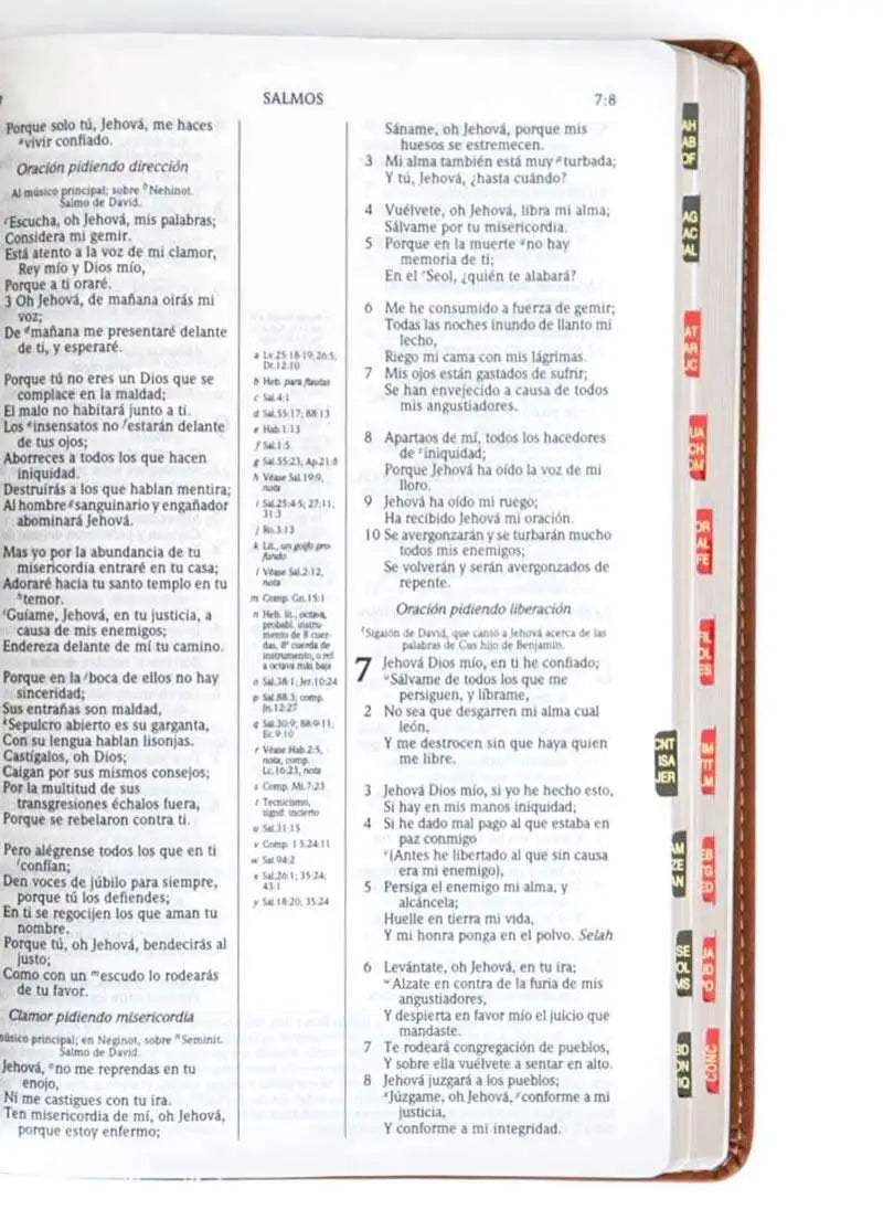 Biblia De Estudio Reina Valera 1960 Scofield Verde Bosque/Cafe Simil Piel Con Indice B&H - Lifeway