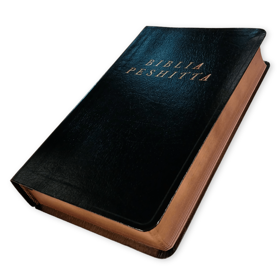 Biblia Peshitta Imitacion Piel Y Palabras De Jesús En Rojo