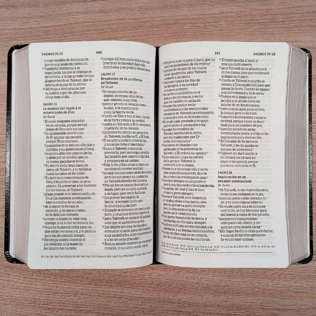 Biblia Peshitta Imitacion Piel Y Palabras De Jesús En Rojo