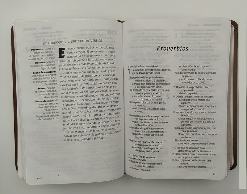 Biblia Compacta Dos Tonos Nueva Traducción Viviente Ntv