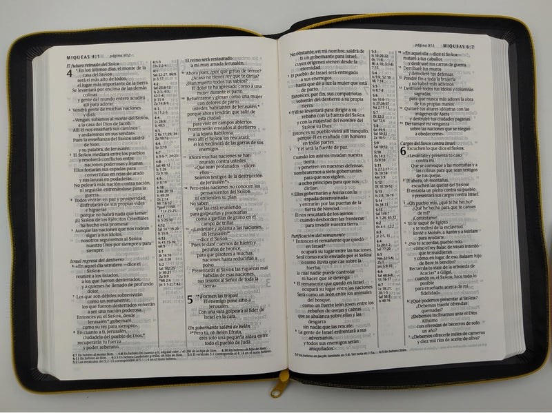 Biblia Nueva Traducción Viviente Cierre Letra Grande Gris