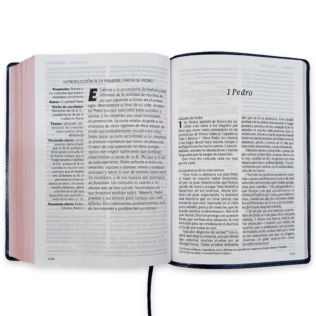 Biblia Nueva Traducción Viviente Letra Mediana 11 p PJR Edición Clásica Azul