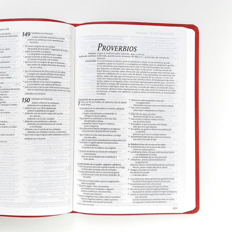 Biblia Nueva Traducción Viviente Imitación Cuero Agape Rojo