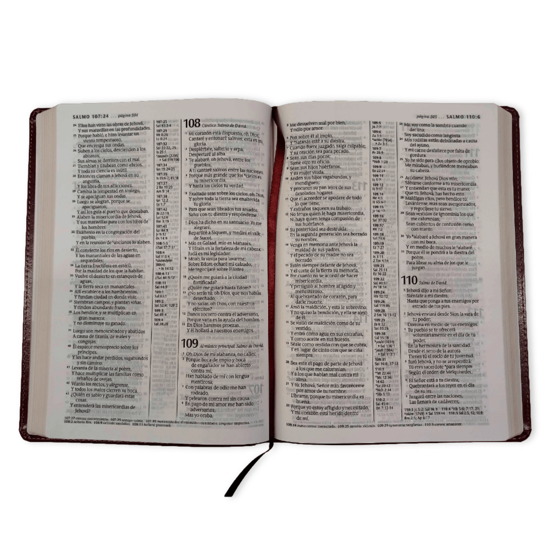 Biblia Reina Valera 1960 Letra Grande PJR Tapa PU Marrón Rojizo