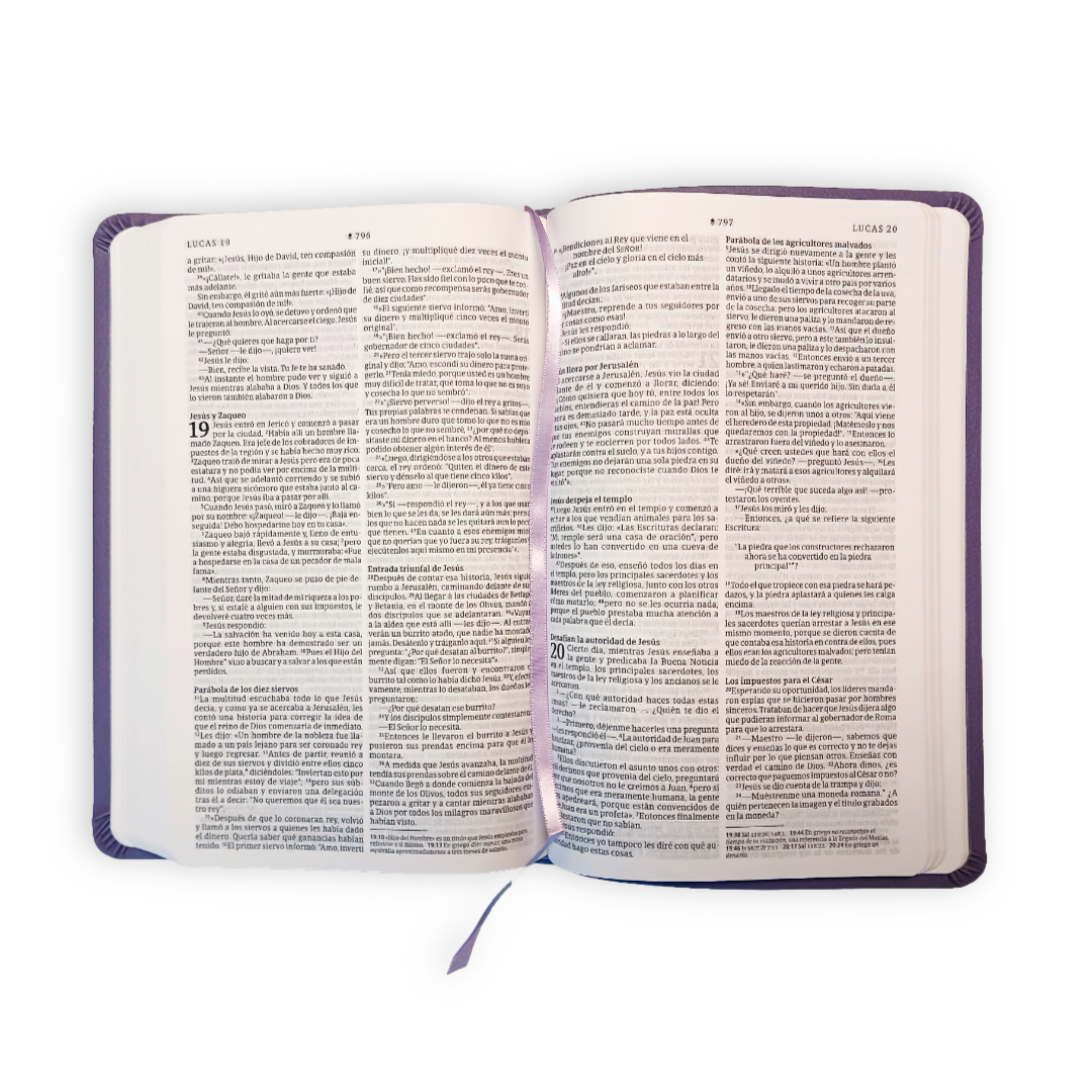 Biblia Nueva Traduccion Viviente Simil piel Morado