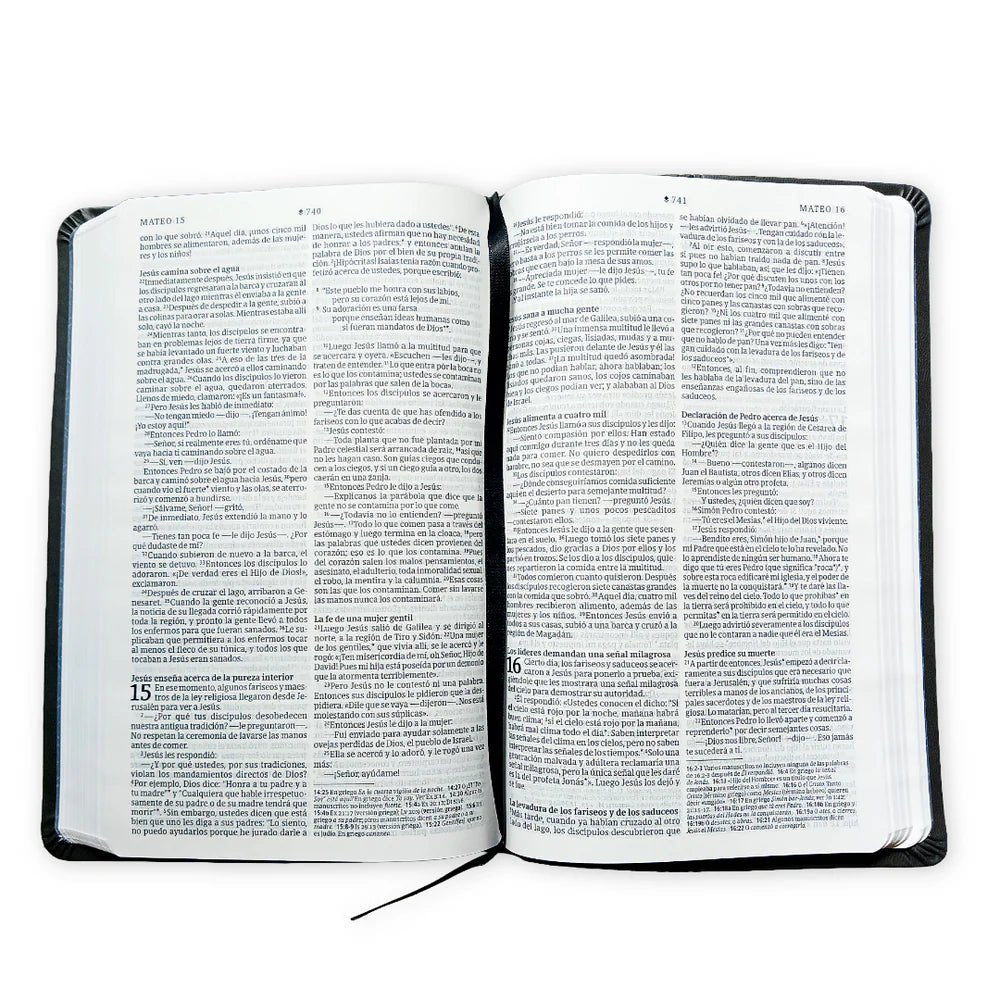Biblia Nueva Traducción Viviente (NTV), Letra 8,25 Pt, 13,5×21,5, Con Filament, Tapa PU, Gris