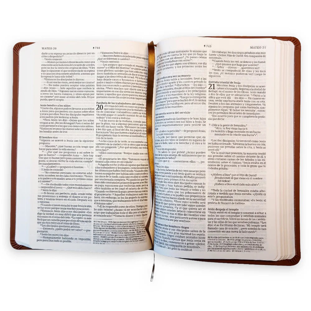 Biblia Nueva Traducción Viviente (NTV), Letra 8,25 Pt, 13,5×21,5, Con Filament, Tapa PU, Marrón