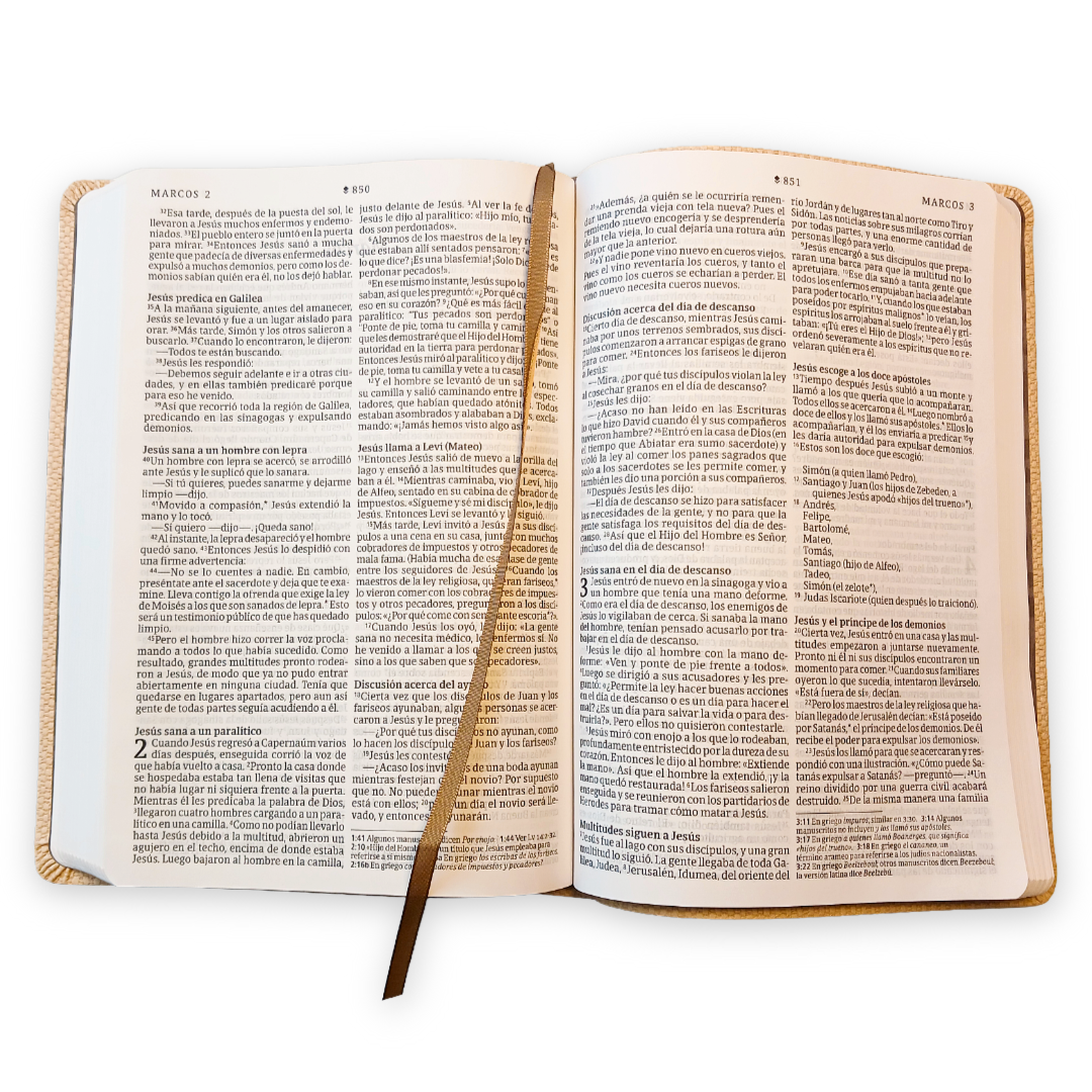 Biblia Nueva Traducción Viviente Letra Grande Símil piel Café claro