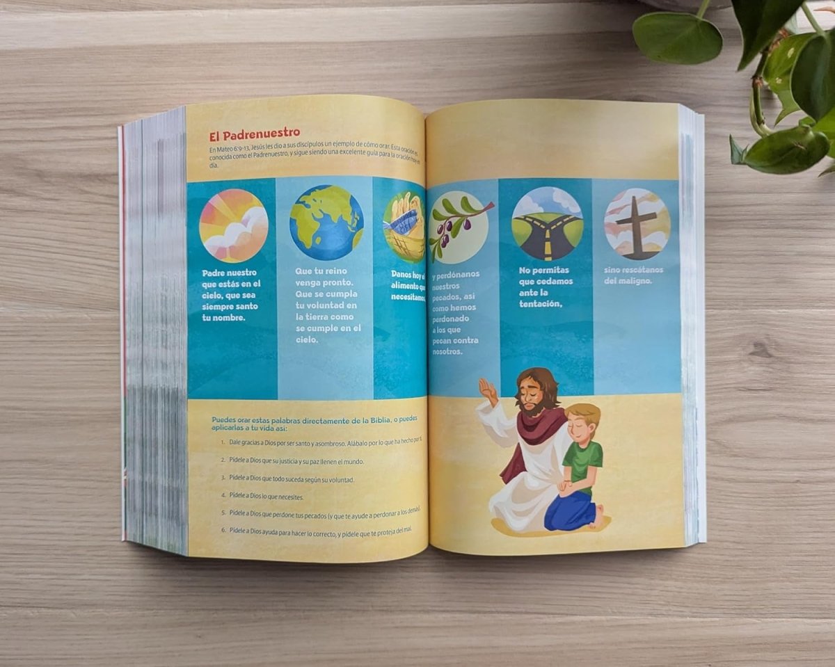 Biblia Nueva Traducción Viviente (NTV) Go, Letra 9,5 Pt, 13,6×21,6, Para Niños