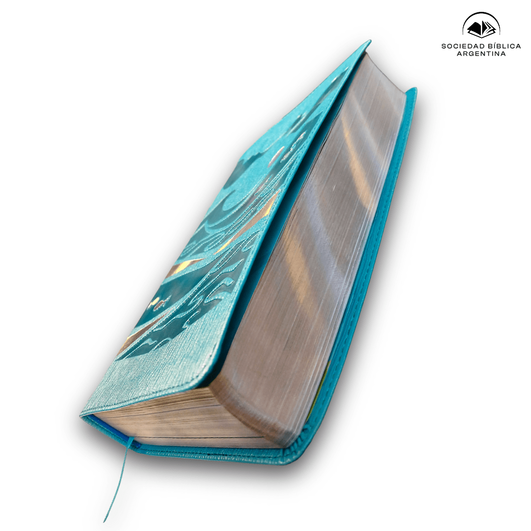 Biblia GO Nueva traducción Viviente Ilustrada Para Niños