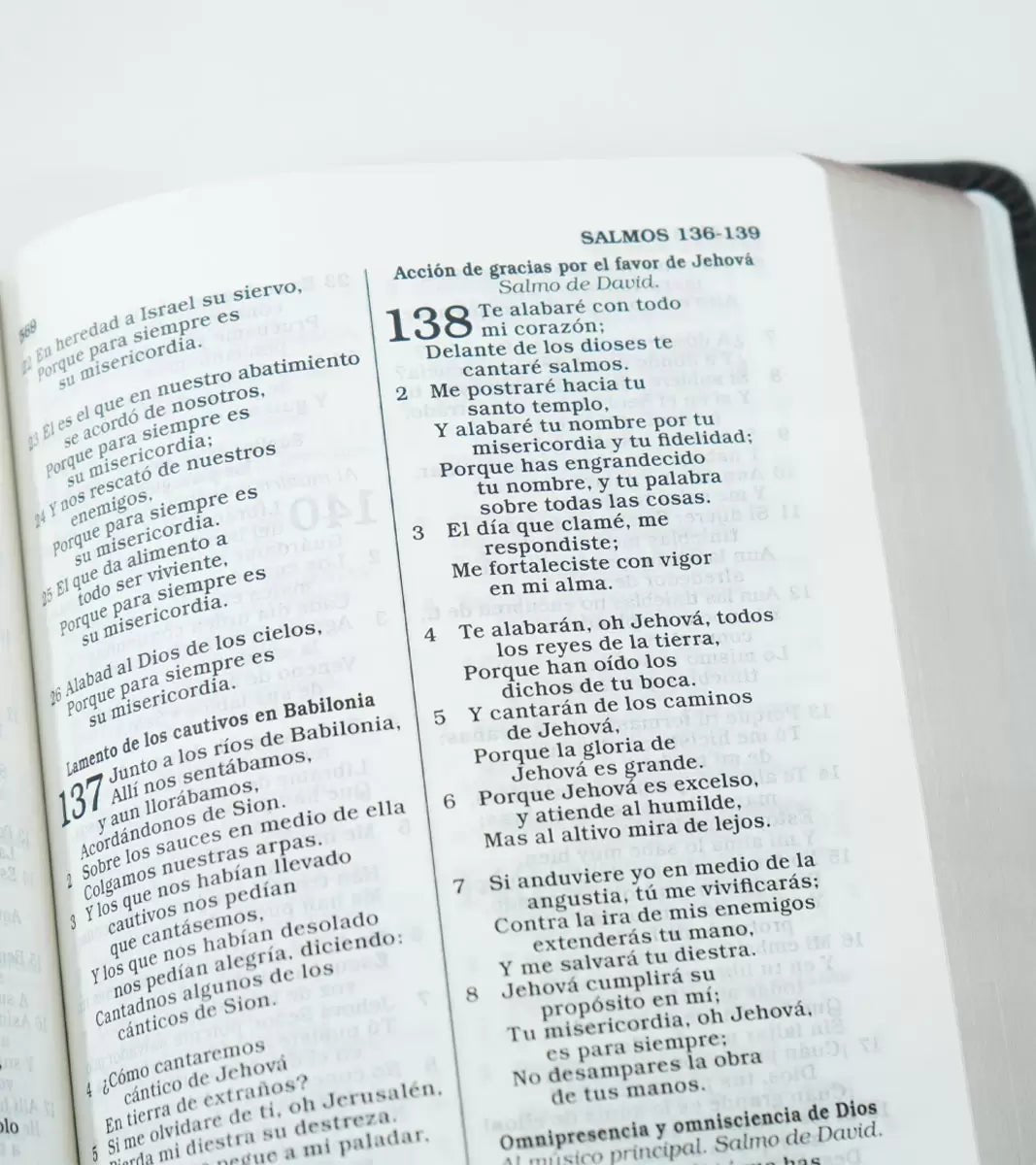 Biblia Reina Valera 1960 para Regalos y Premios Letra 8 puntos 14 x 20 cm Negro/Plata Imit. Piel