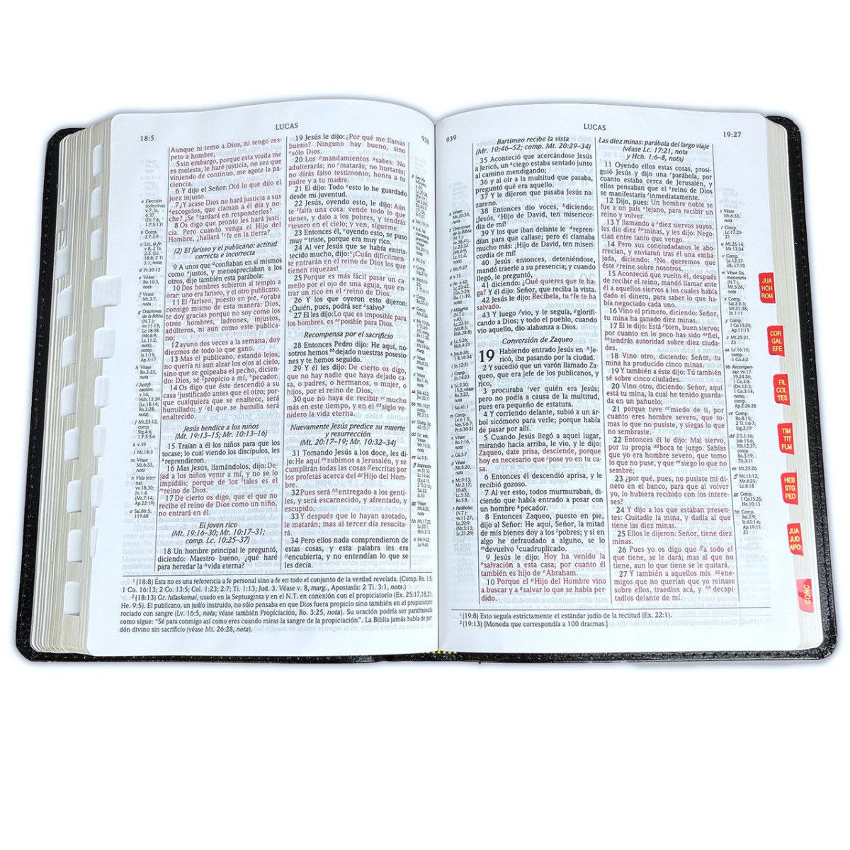 Biblia de Estudio Scofield Reina Valera 1960 – Tapa Piel Fabricada Negro con Índice