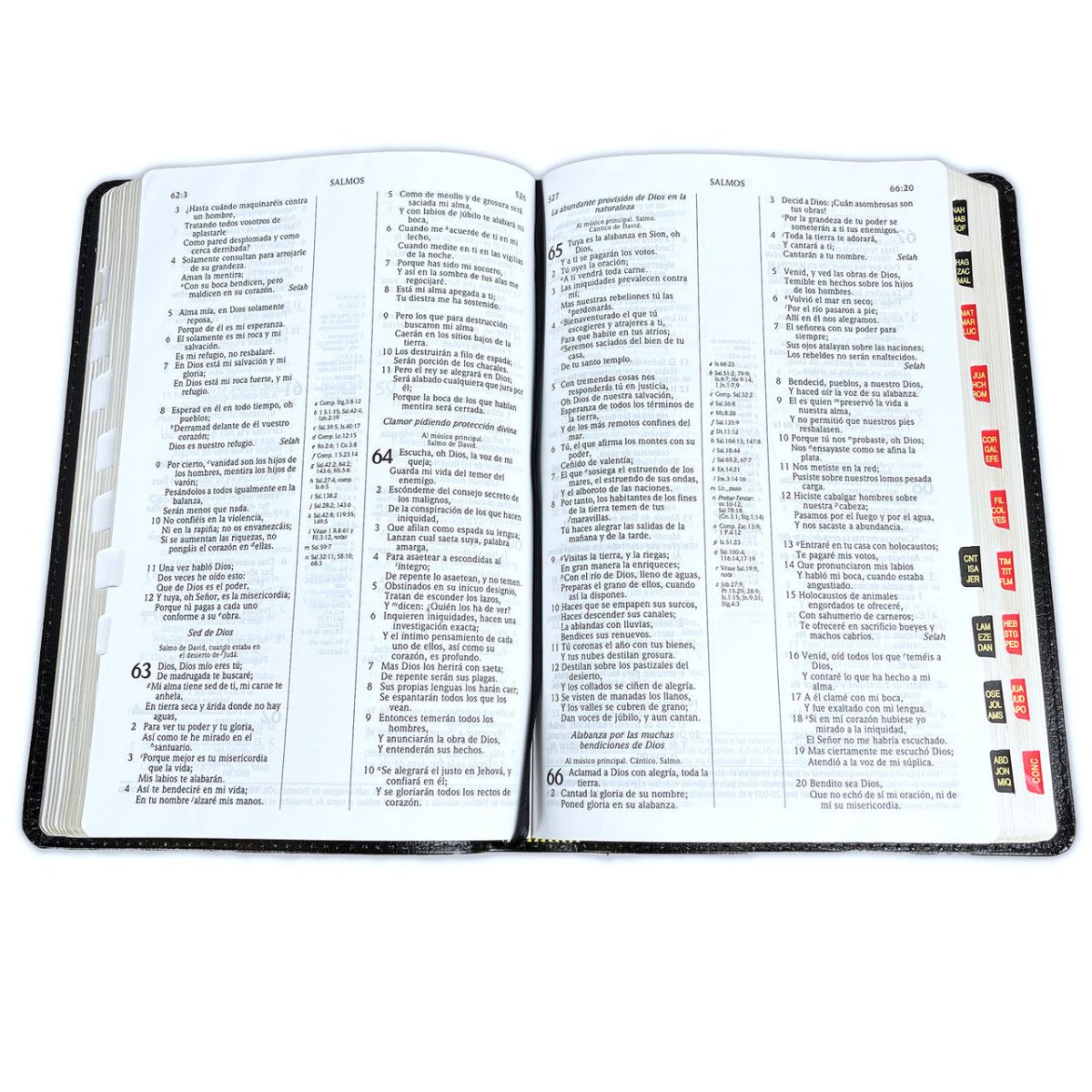 Biblia de Estudio Scofield Reina Valera 1960 – Tapa Piel Fabricada Negro con Índice