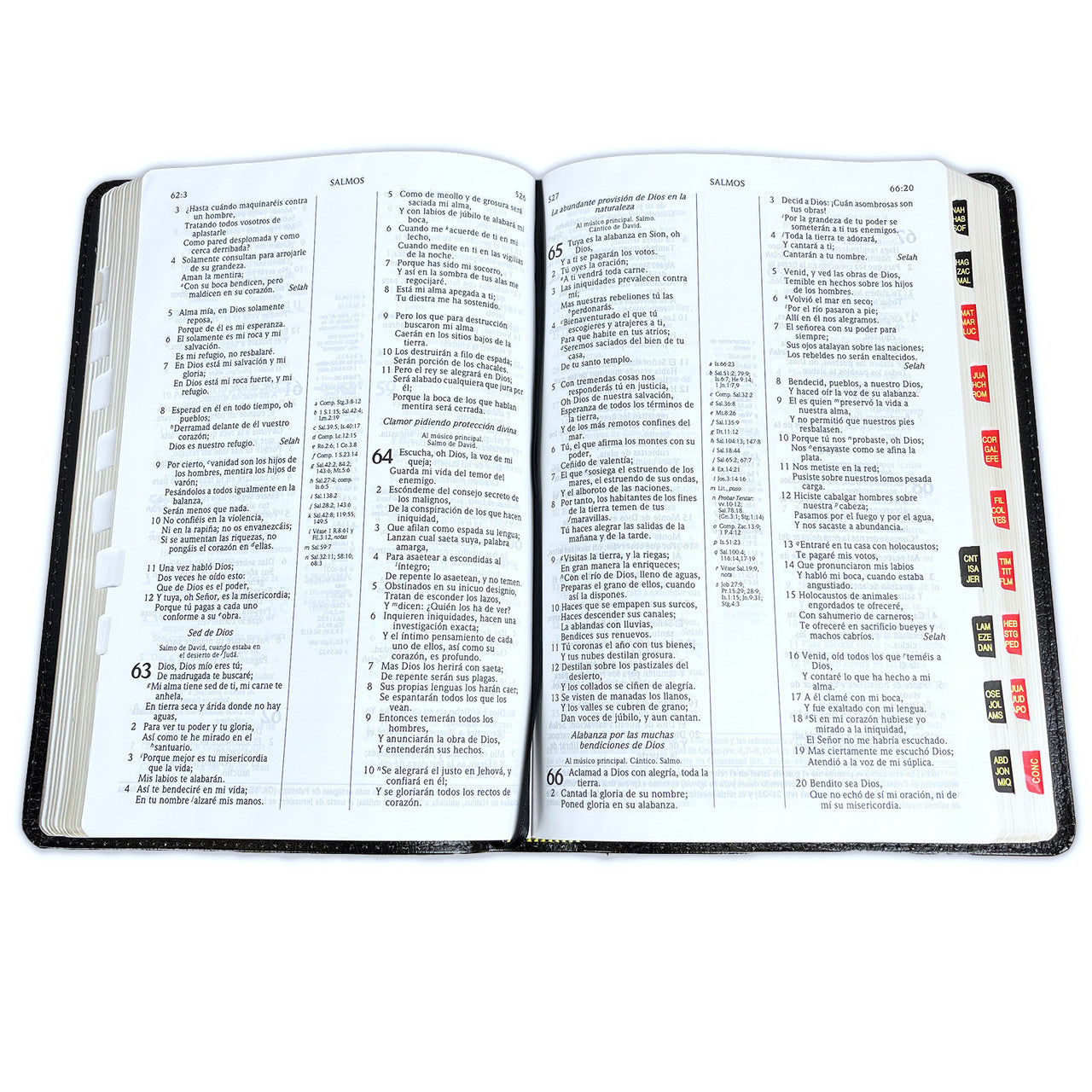 Biblia de Estudio Scofield Reina Valera 1960 – Tapa Piel Fabricada Negro con Índice